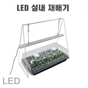 가로등, 투광등, LED 태양광 정원등
