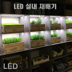 가로등, 투광등, LED 태양광 정원등